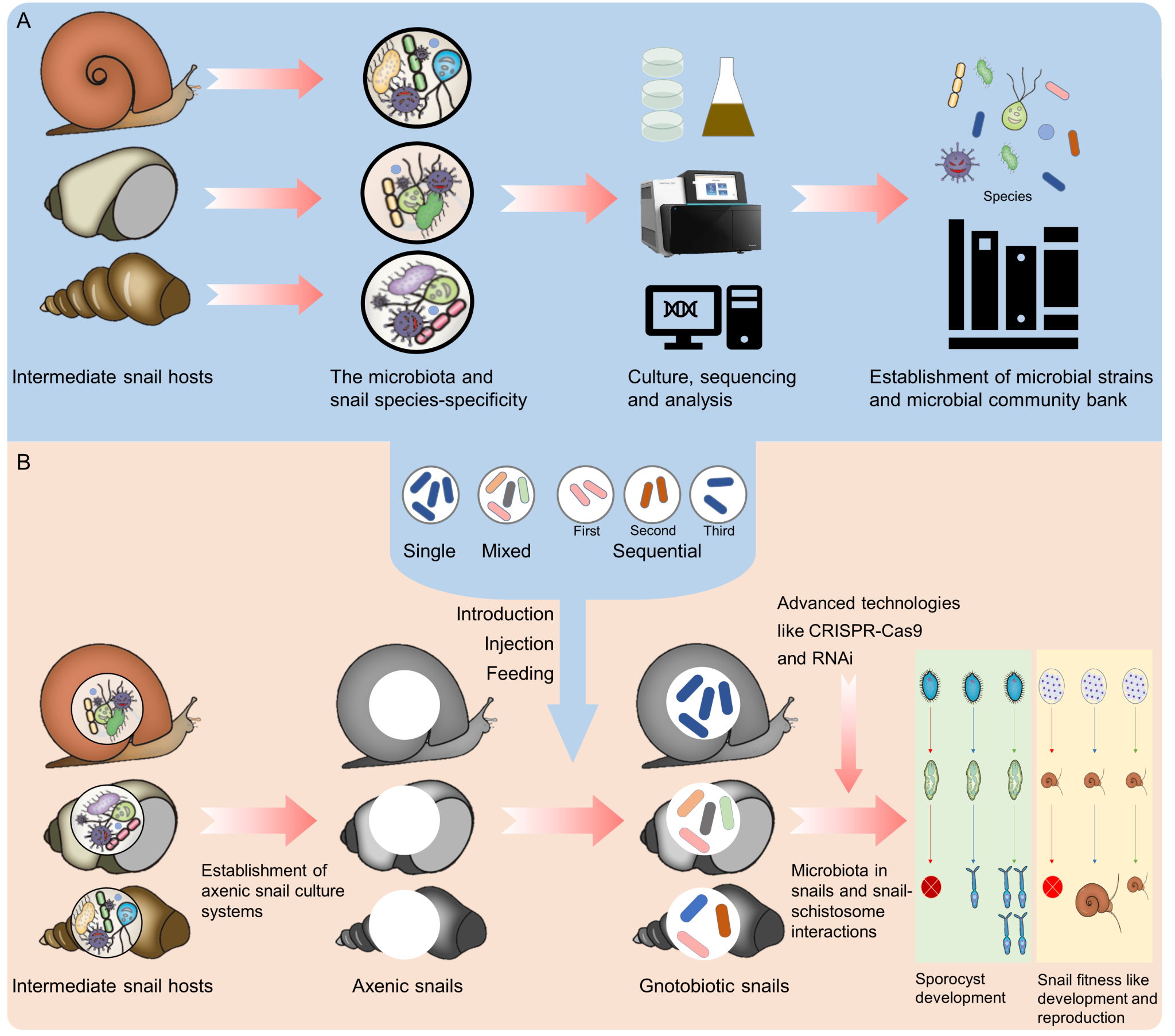 EC8461309C49496709796835A44_64AFC2B2_114203