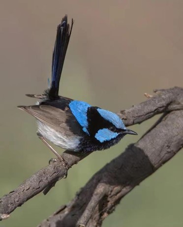 7E51510518C991562D214F6F69F_899575B9_6BA3