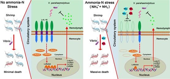 EA494416B1C91473E523578CD5C_6B1F561F_861F