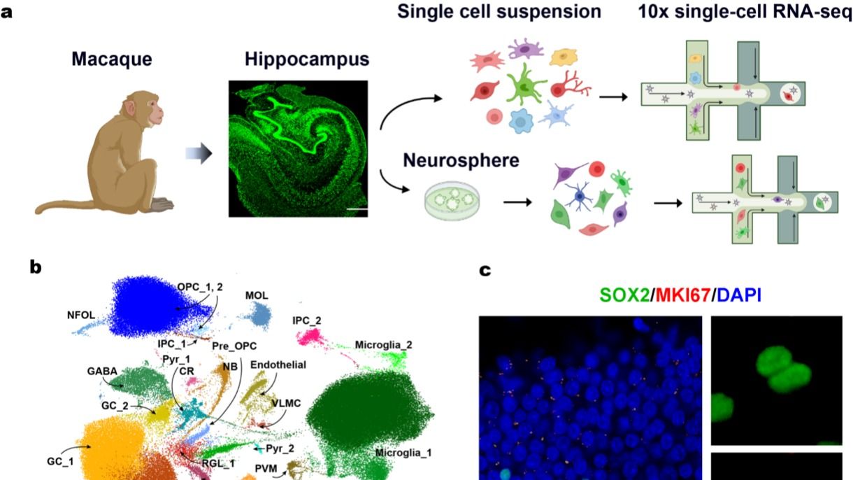 ��ҳ|ng������Ϸ�й����Źٷ���վ