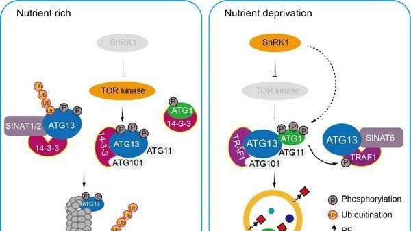 ��ҳ|ng������Ϸ�й����Źٷ���վ