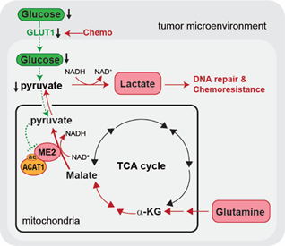 3E2C0A6F08328303C1268AE8979_277CD039_B67D