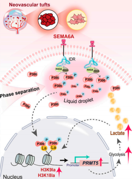 FB2F43CF86D376261FD9576E81F_2FA90FA6_4E105