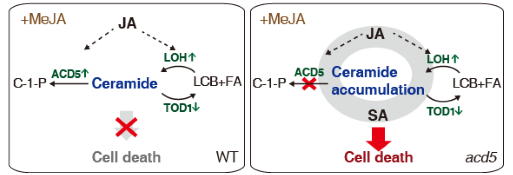 ��ҳ|ng������Ϸ�й����Źٷ���վ