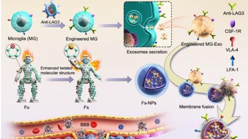 ��ҳ|ng������Ϸ�й����Źٷ���վ