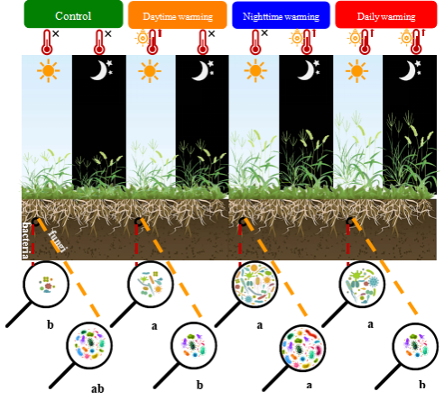 EADD313FE7314F7D6D7A3528F6B_26392000_340CE