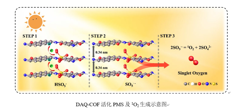 DD5C93781DEF93859298544D1C0_C31C581F_556F2