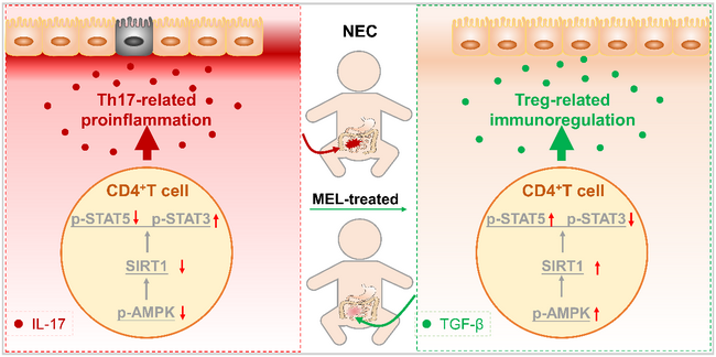 ��ҳ|ng������Ϸ�й����Źٷ���վ