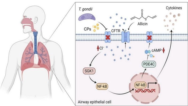 ��ҳ|ng������Ϸ�й����Źٷ���վ