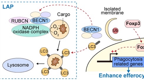 ��ҳ|ng������Ϸ�й����Źٷ���վ