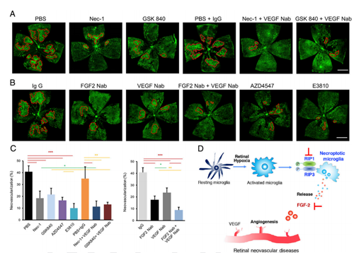 ��ҳ|ng������Ϸ�й����Źٷ���վ