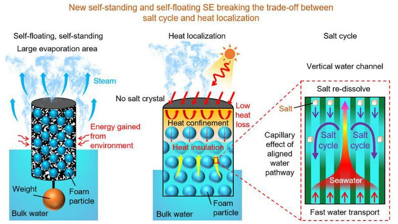 01A42221633DCC17F359DB264DB_27F8CECA_1278E 01A42221633DCC17F359DB264DB_27F8CECA_1278E