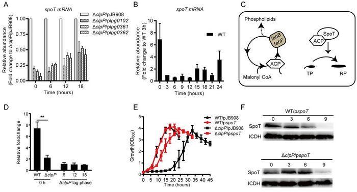 B605C988F2AFF33FC9881F74505_22CA9F8B_BADC