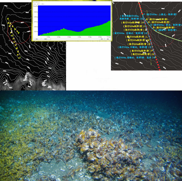 ��ҳ|ng������Ϸ�й����Źٷ���վ