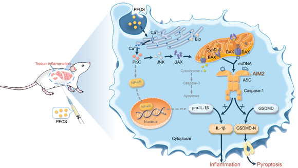 ��ҳ|ng������Ϸ�й����Źٷ���վ