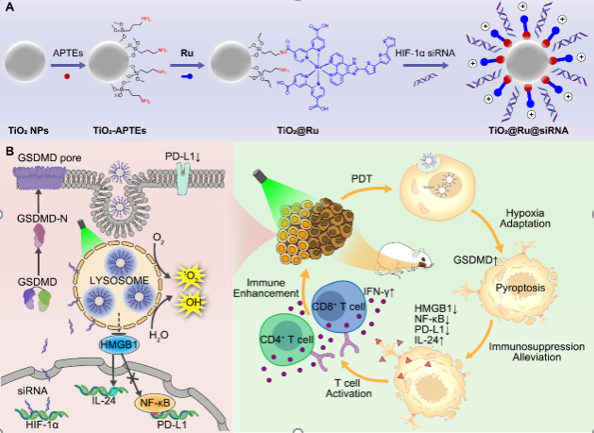 3CD7FE765592809DD02BD3CB973_0147B390_3A160