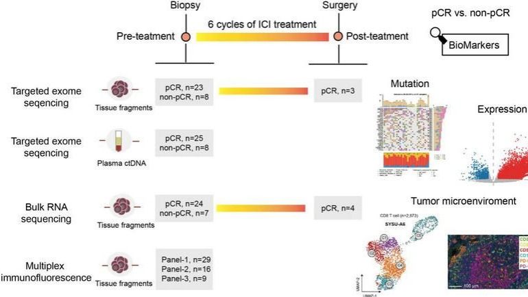 ��ҳ|ng������Ϸ�й����Źٷ���վ