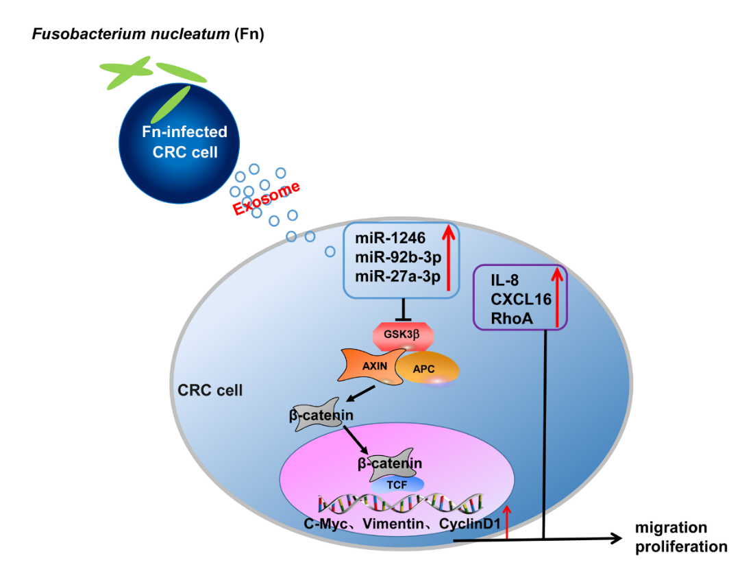 ��ҳ|ng������Ϸ�й����Źٷ���վ