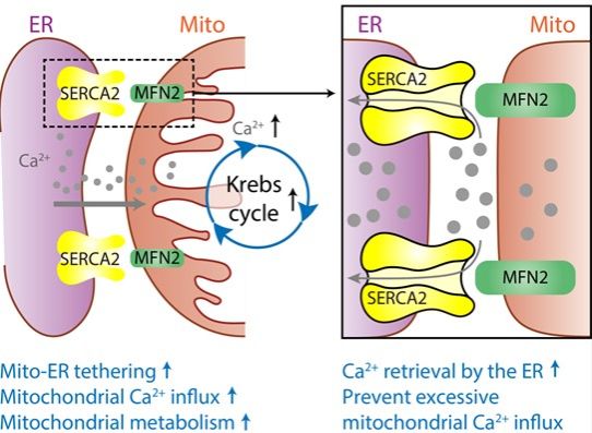 C046C217BAC0599C37DD59C6CBB_DF54F64F_B451