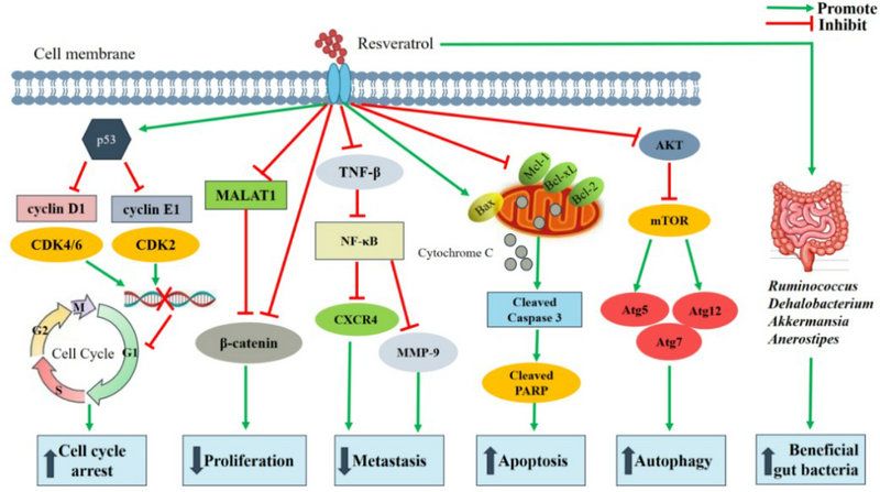 A15D1EF98BE5C726C0C4D8AB030_CEA3DA3F_F674