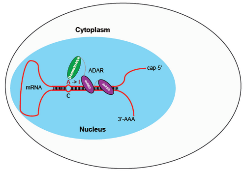 ��ҳ|ng������Ϸ�й����Źٷ���վ