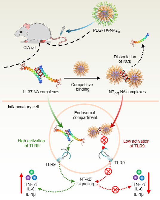 4688D3DB82606A48085741FFAFC_8FE2D547_2349F