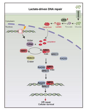 11E59FA5C56F307D56D6FE1EA16_7B65DCF6_CBA9