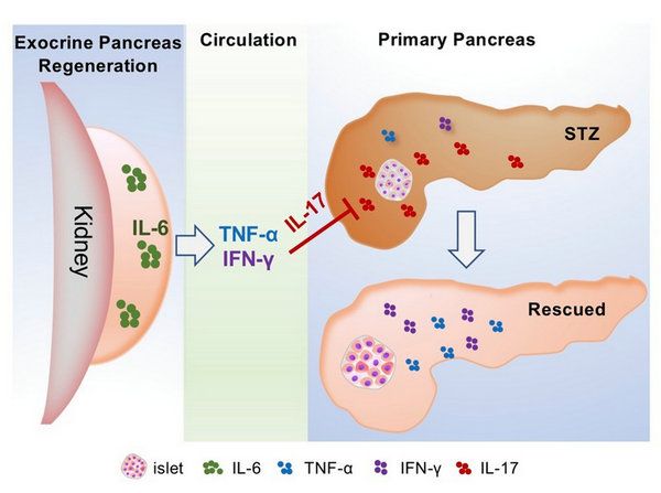 33668FB7A6BB9D7AD560B9E429C_1D383535_8782 33668FB7A6BB9D7AD560B9E429C_1D383535_8782