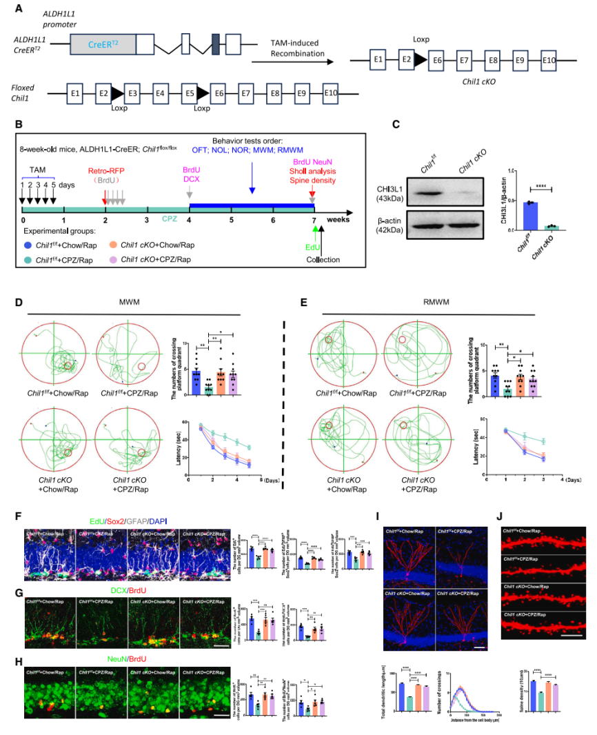 6FD855FB9B976544B8BDA6F3A09_5A9B6C0B_92D92