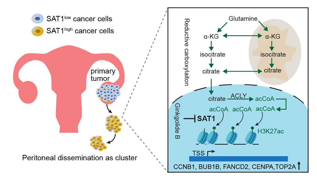 BFDEF6B7D1B592655CFEDCE4C48_6E70FDA2_2D864