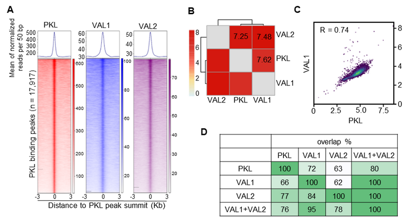 C64EA687085A169E2100E0920AA_66DD977A_30566
