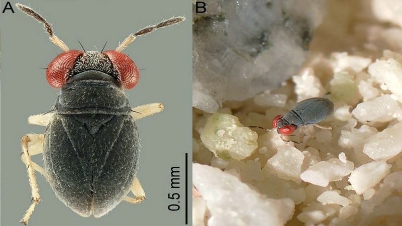 ��ҳ|ng������Ϸ�й����Źٷ���վ