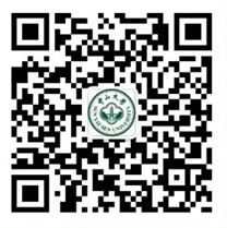 5A036AB1C930D2D5138B5B41196_FEC6C0E4_3D79