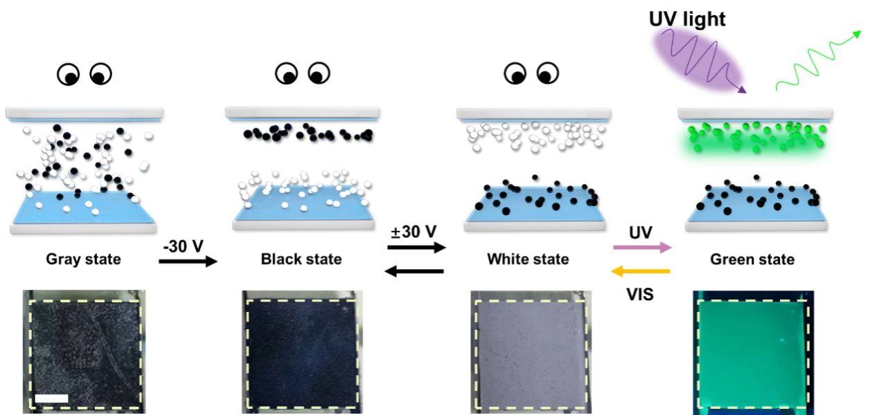 080B55D9705FFF37E9A93DBA648_19D20D90_81CC3