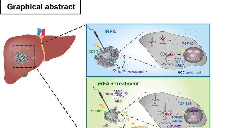 ��ҳ|ng������Ϸ�й����Źٷ���վ