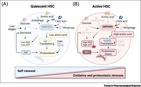 728A0101BAF04A64201A3EC3CD3_1E3C0116_86CF