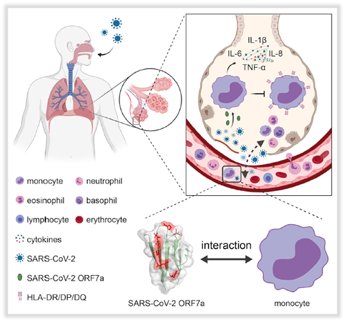 ��ҳ|ng������Ϸ�й����Źٷ���վ