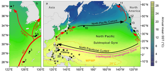 ��ҳ|ng������Ϸ�й����Źٷ���վ