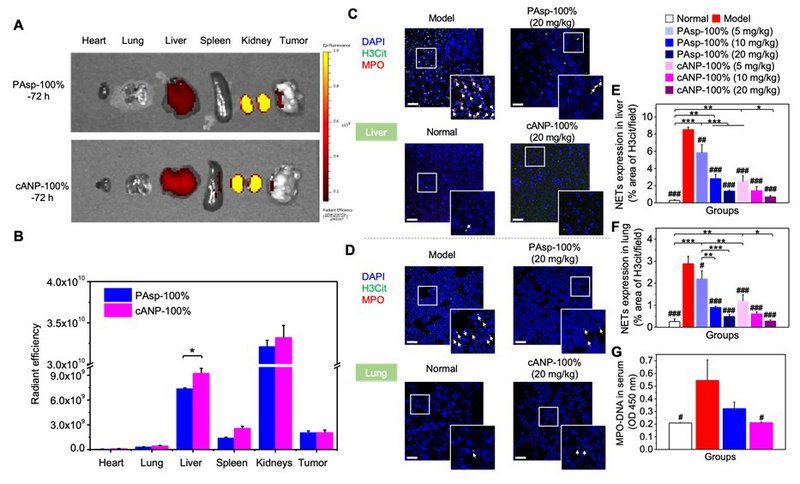 F85443C1AA6A1184F32972D3387_CC81AA52_13C5D