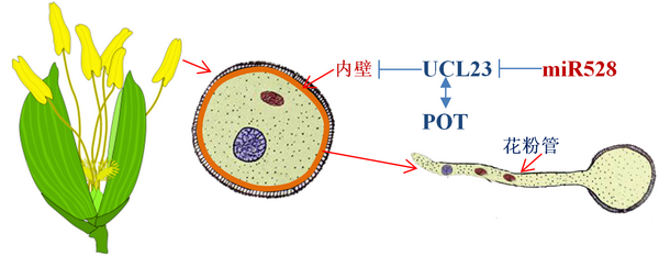 ��ҳ|ng������Ϸ�й����Źٷ���վ