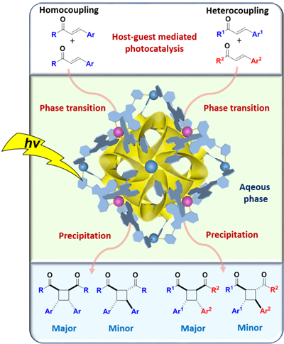 ��ҳ|ng������Ϸ�й����Źٷ���վ